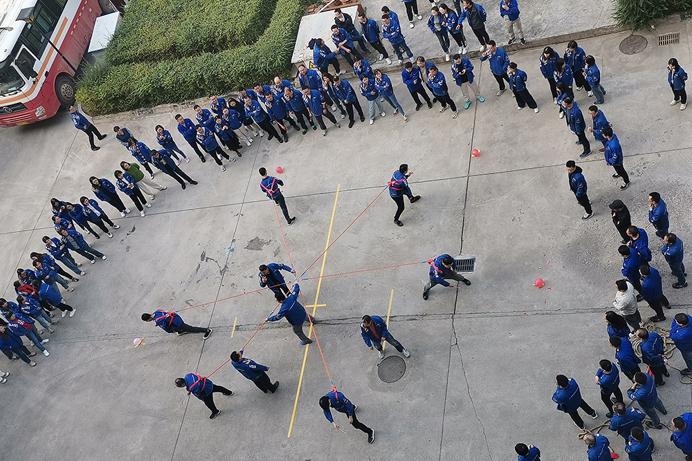 esball(�й���)�ٷ���վ